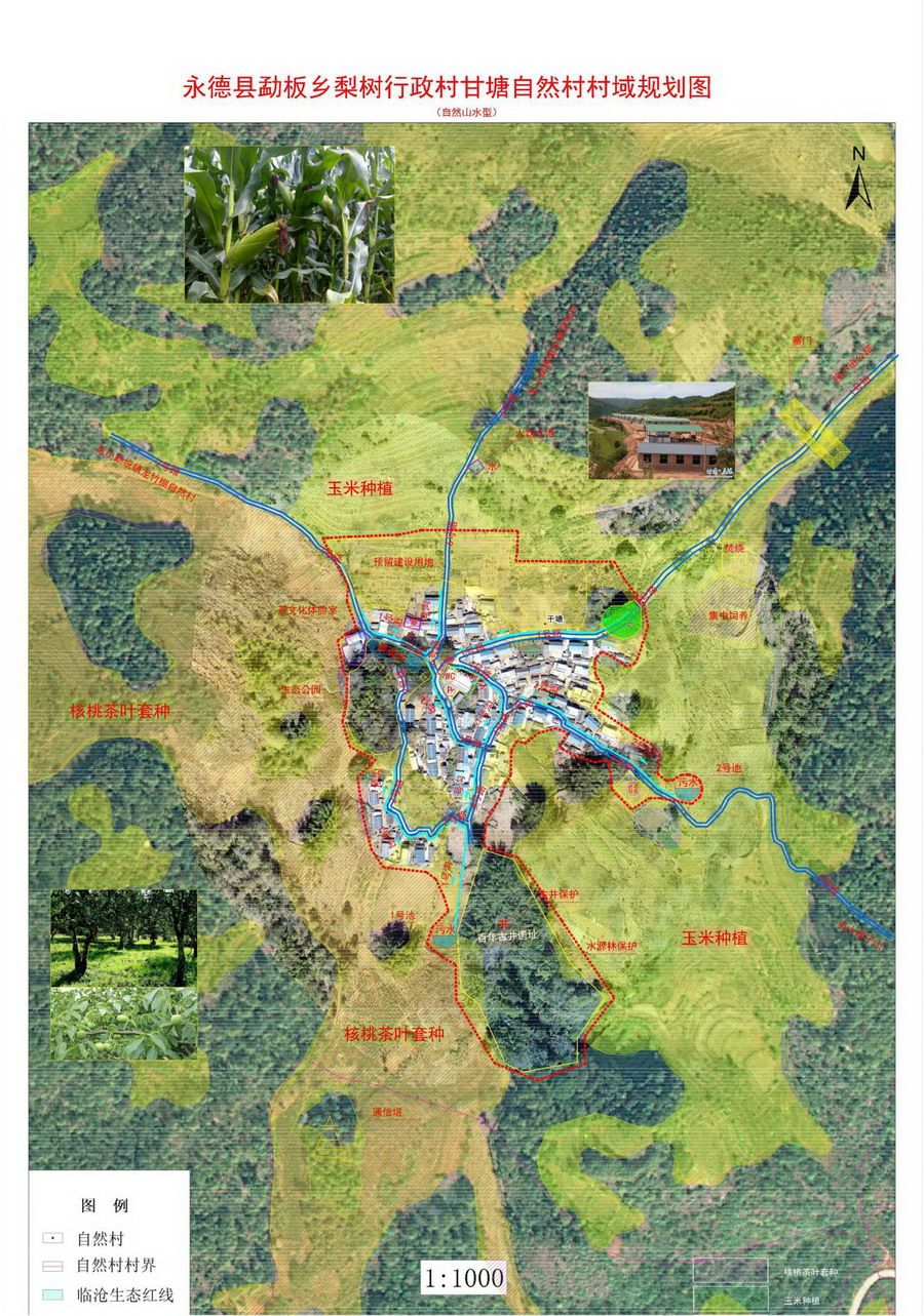 勐板梨树甘塘村域规划图
