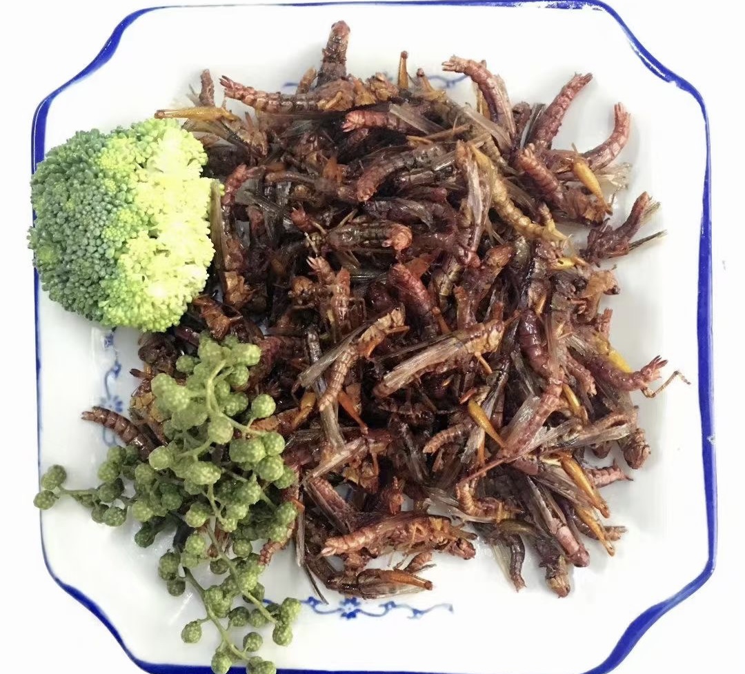 复制图片
