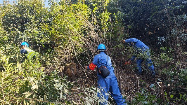 南方电网云南临沧永德供电局 开展输电线路通道清障工作，护航电网稳定运行