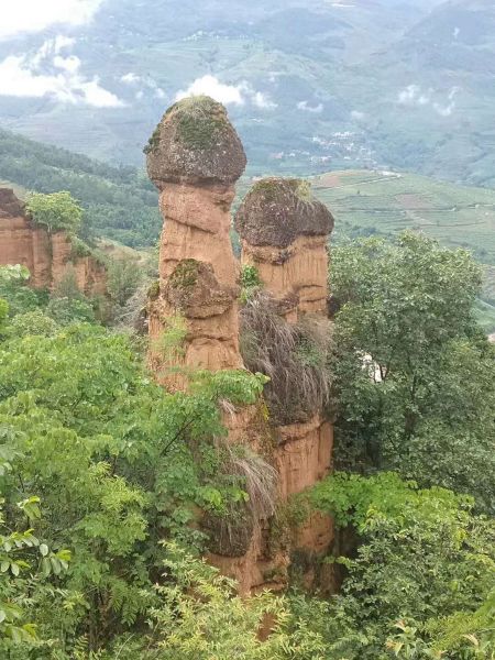 夏天的土佛