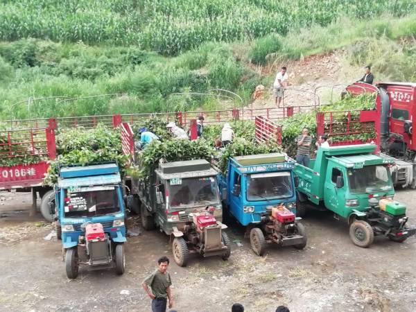 图片3
