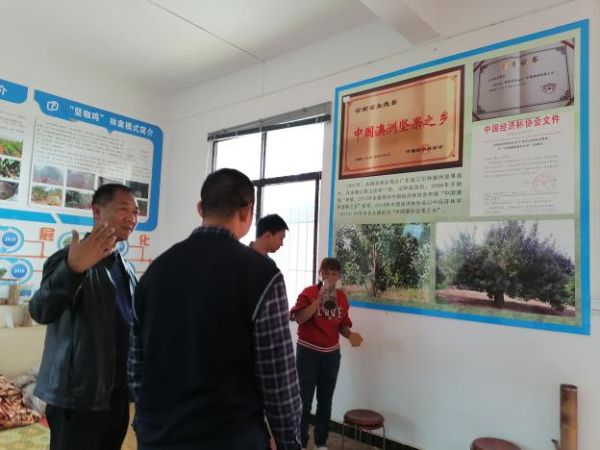 临沧市委党校校务委员彭绍明一行到崇岗乡党员干部教育现场教学点大红山坚咖生态文化产业园进行调研