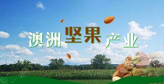 澳洲坚果产业