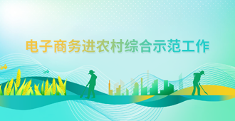 电子商务进农村综合示范专栏