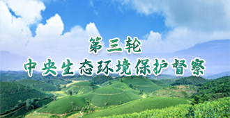 中央生态环境保护督察专栏